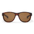 Gill Coastal Gafas De Sol Flotantes - Concha De Tortuga