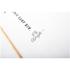 Ronix Flyweight Bat Tail Thruster Hybrid Wakesurf - Alpine White