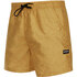 Mystic Mens Brand Swim Boardshorts - Mostaza 210185