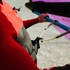 Cinturón De Ala Forward Wip 2.0 | Arnés Wingfoil