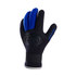 Typhoon Dive 3Mm Wetsuit Gloves - Negro / Azul