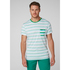 Camiseta Helly Hansen Fjord - Pepper Green Faded Stripes