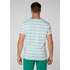 Camiseta Helly Hansen Fjord - Pepper Green Faded Stripes