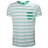 Camiseta Helly Hansen Fjord - Pepper Green Faded Stripes