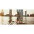 Jobe 9,8 Surf Sup Paquete