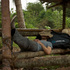 Lifeventure Expedición Ruedas Petate - 120 Litros